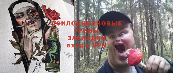 спиды Арсеньев
